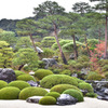 枯山水庭（足立美術館）