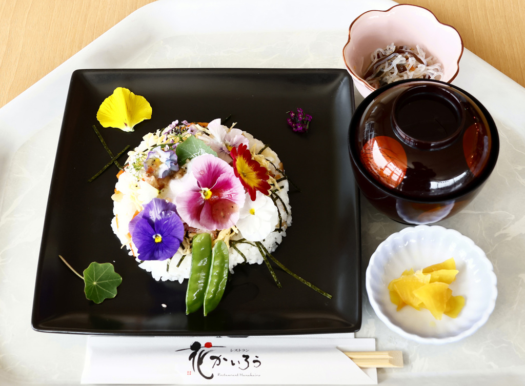 今日の昼ごはん