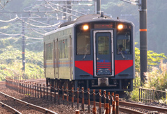 シグマ150-600C作例
