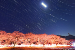 豊房の桜と沈む冬の大三角・月
