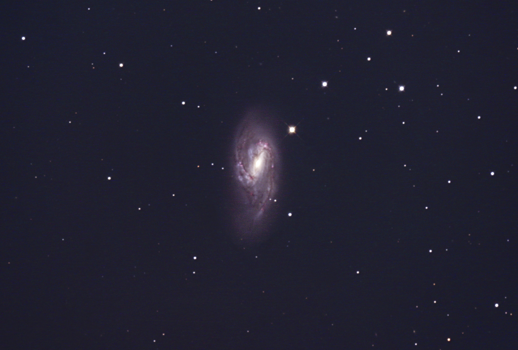 M66