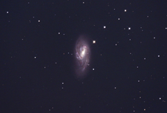 M66