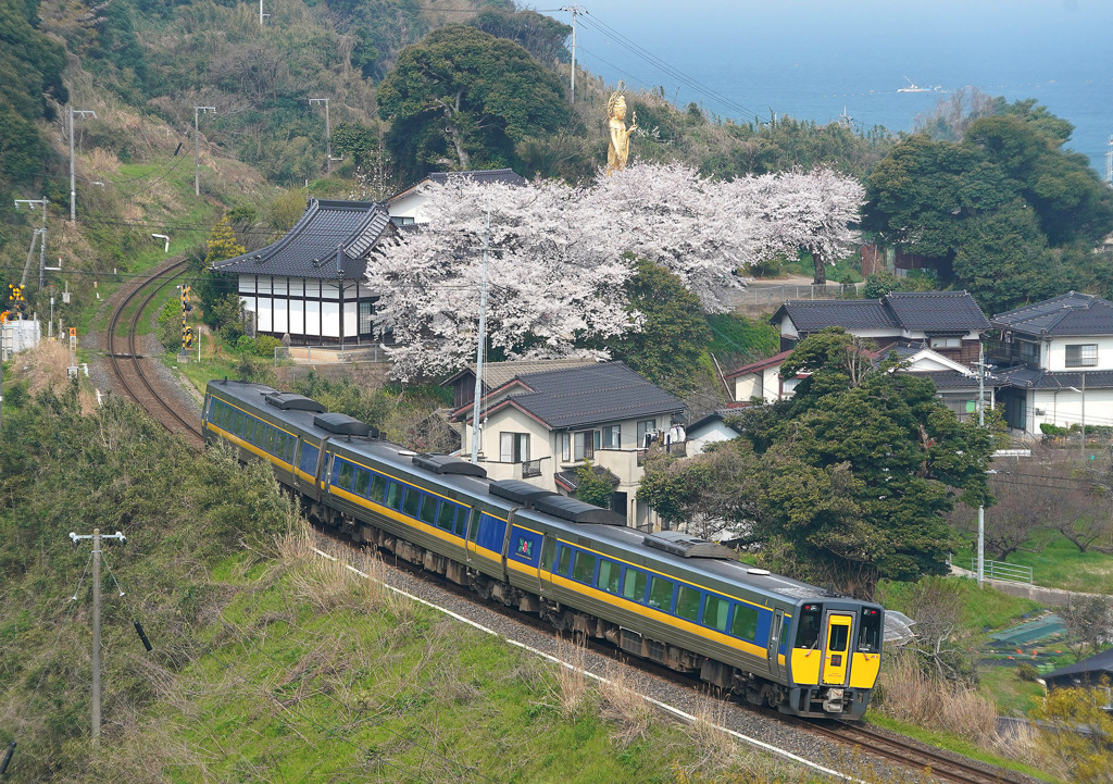 大宝寺の桜とスーパーおき