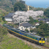 大宝寺の桜とスーパーおき