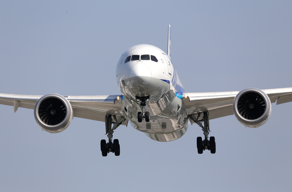 伊丹空港飛来機リスト ANA