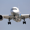 伊丹空港飛来機リスト ANA