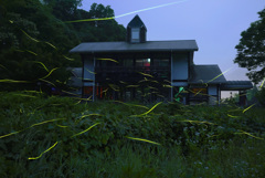 せせらぎ公園の夜