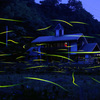 せせらぎ公園の夜