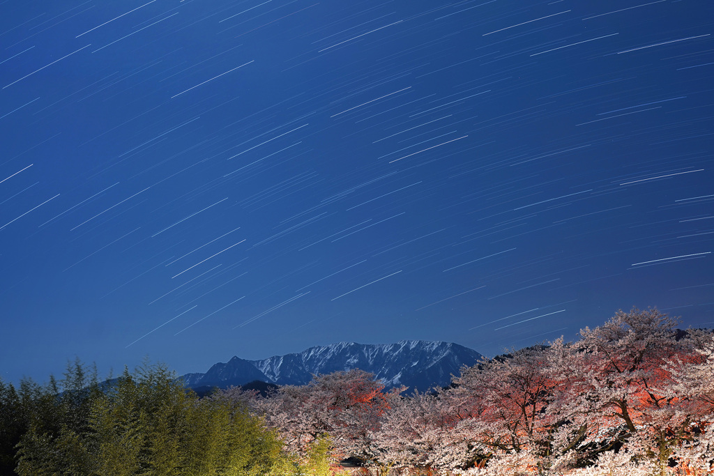 月夜の大山と桜
