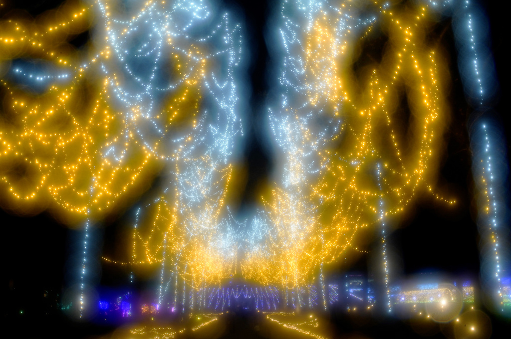 花回廊イルミネーション