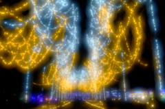 花回廊イルミネーション