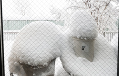 朝起きたら大雪