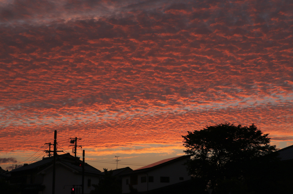夕焼け