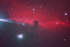 馬頭星雲