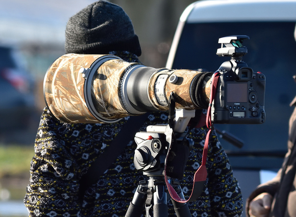 EF800mmF5.6LIS+EOS-1DX
