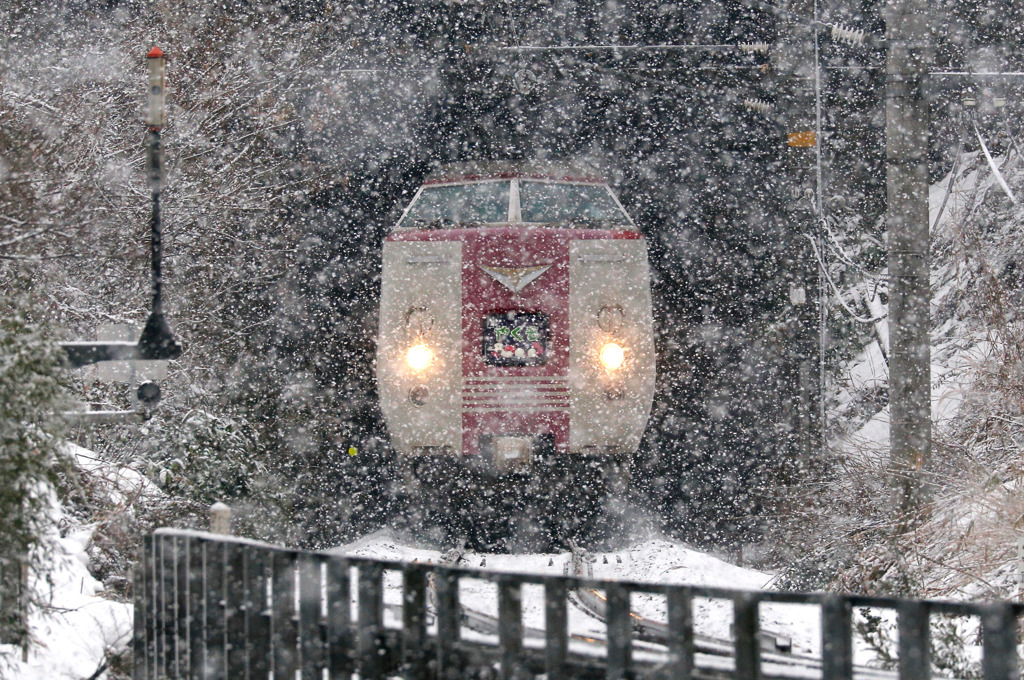 雪のやくも・381系