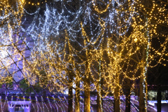 フラワーイルミネーション2025