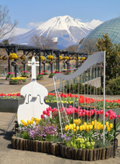 とっとり花回廊と大山