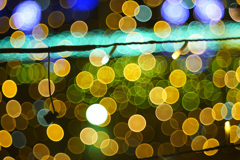 花回廊イルミネーション