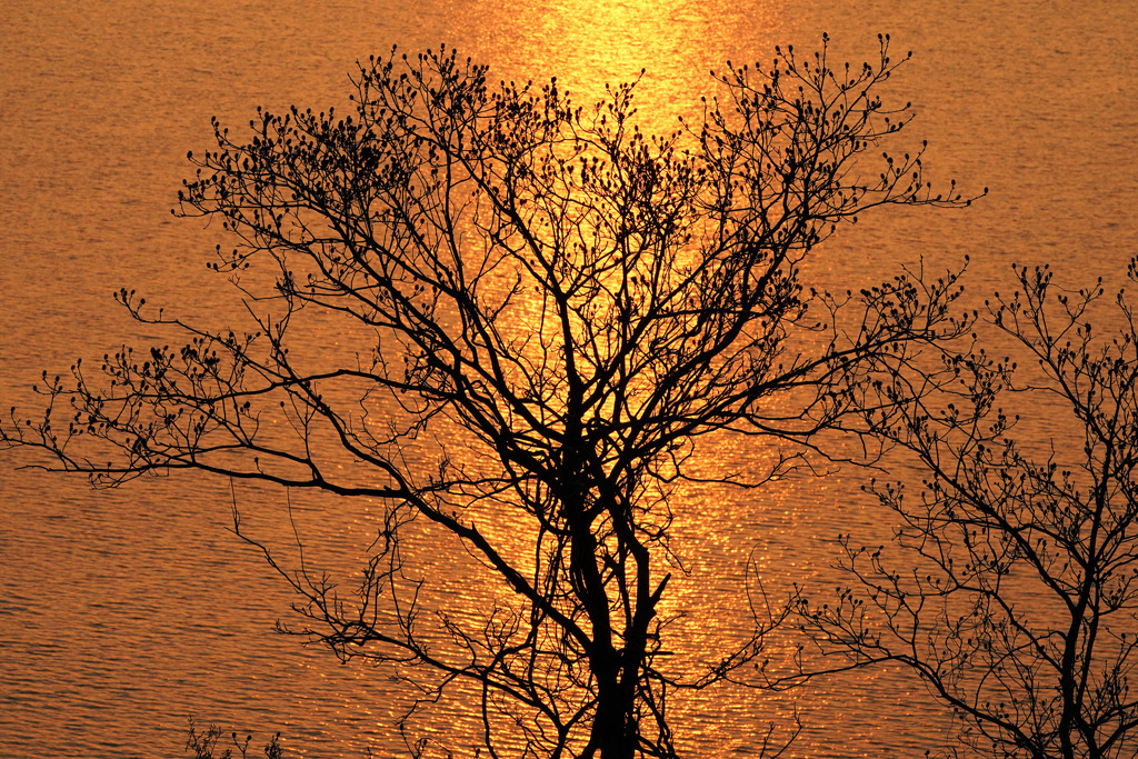 東郷湖夕暮れ