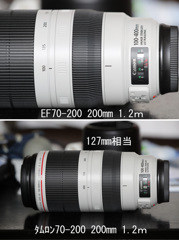 1.2ｍでの大きさ比較