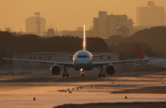 夜明けの伊丹空港