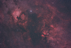 北アメリカ星雲からγ星付近の散光星雲