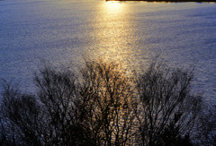 東郷湖夕暮れ