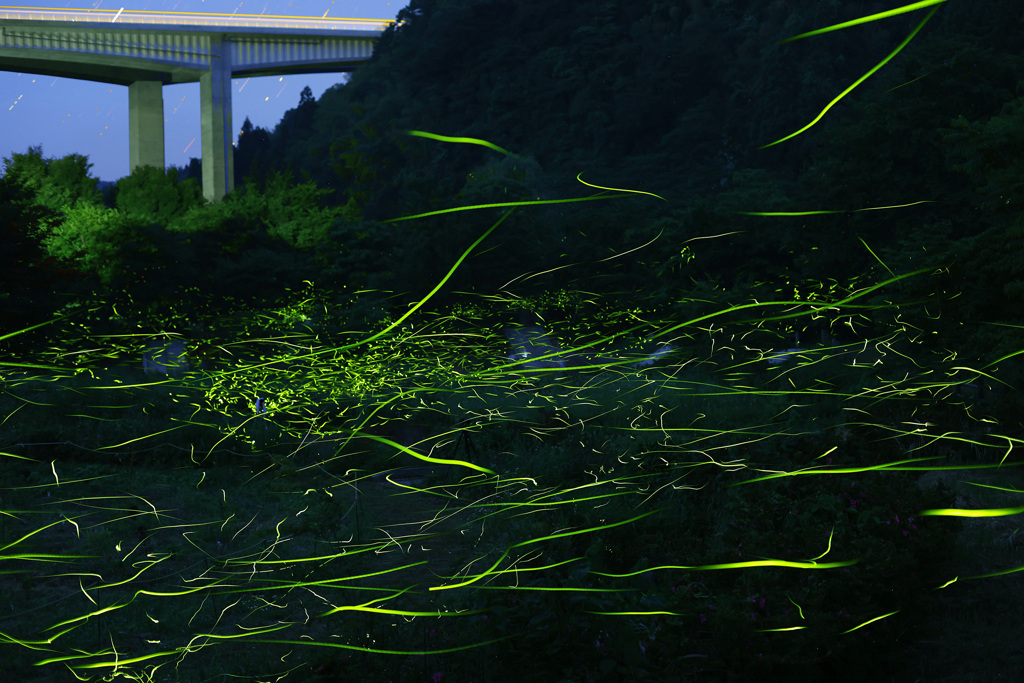せせらぎ公園
