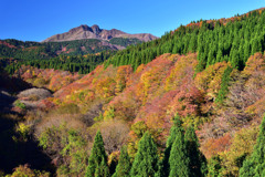 錦秋の大山