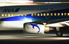 ドルフィンJetの花束