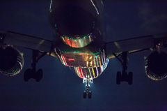 Night Landing