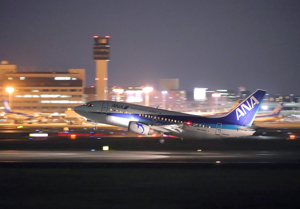 夜のスカイパーク