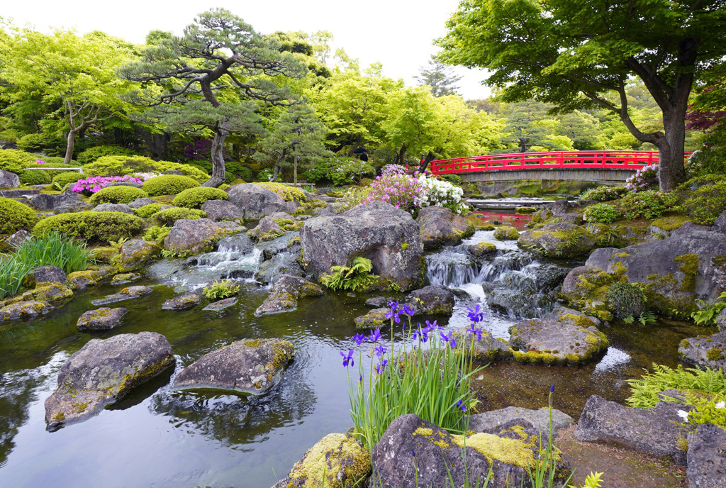 新緑の由志園