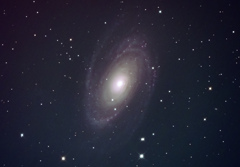 M81