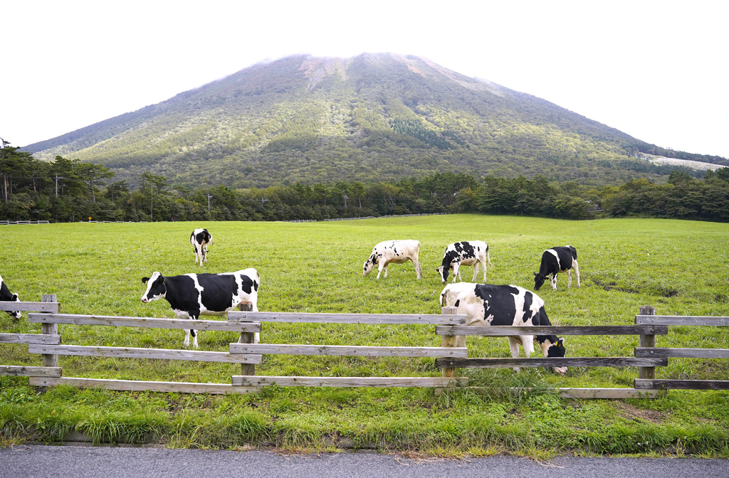大山まきば