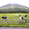 大山まきば