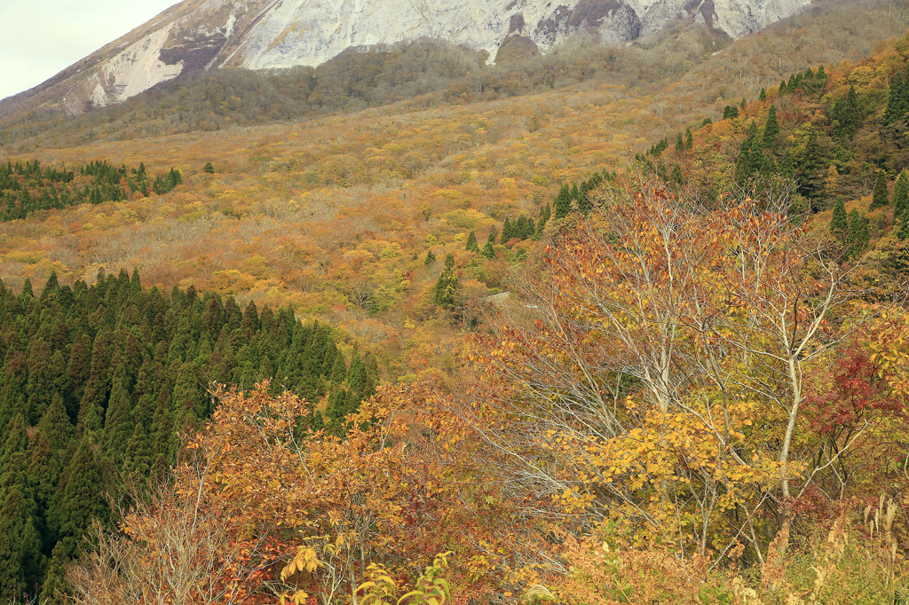 晩秋の大山鍵掛峠