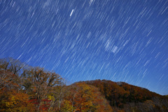 月夜の三の沢に昇るオリオン座