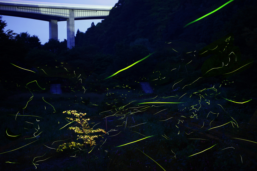 せせらぎ公園