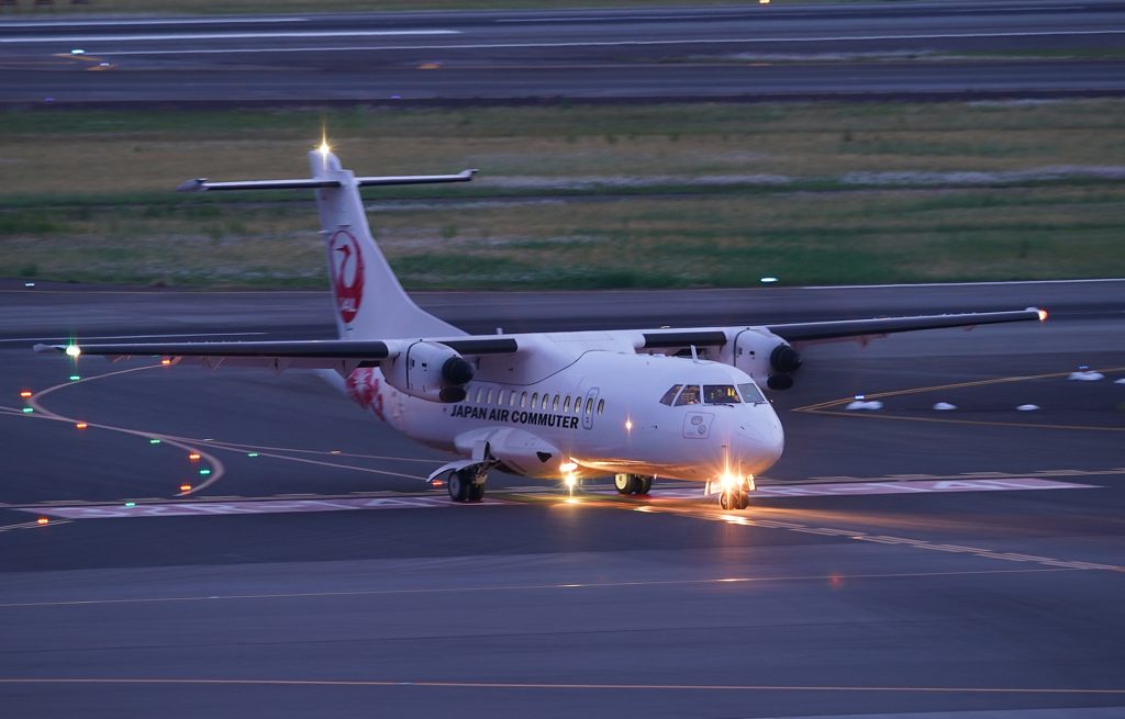 黄昏のハイビスカス