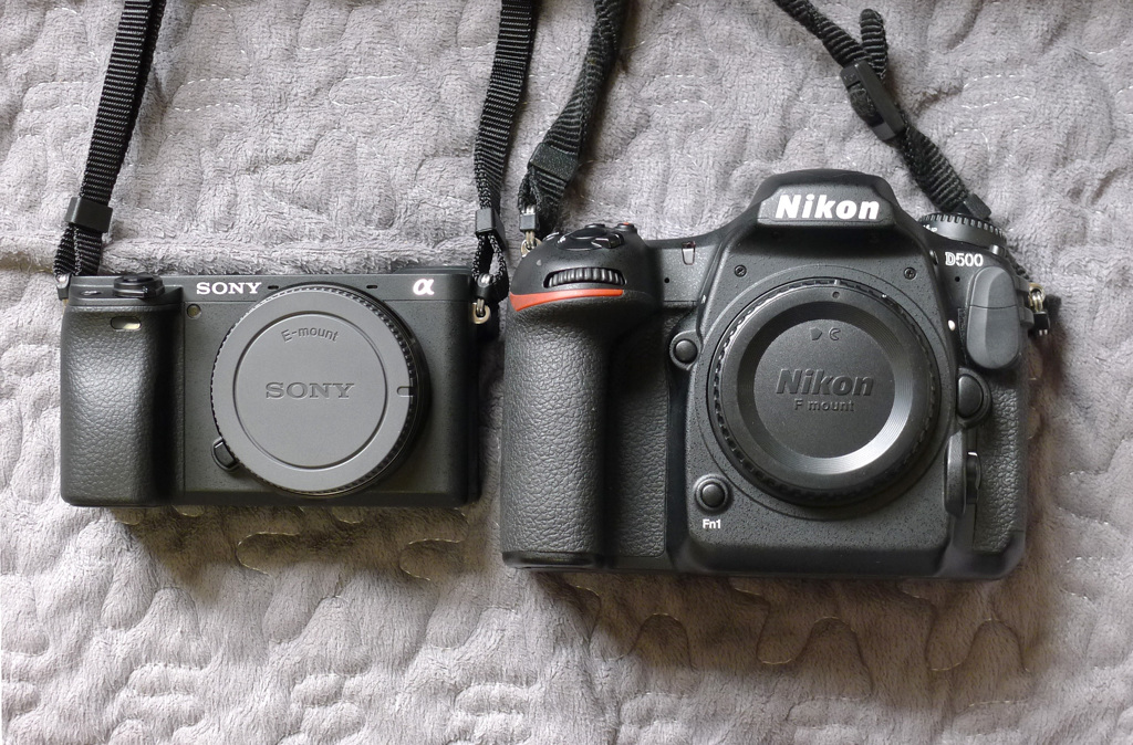 α6400とD500