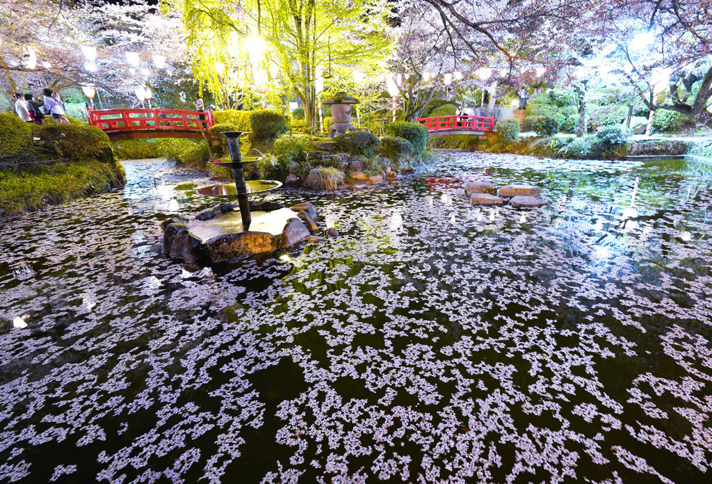 落花の羽衣池