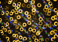 花回廊イルミネーション