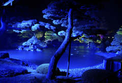 光の日本庭園 ジパング