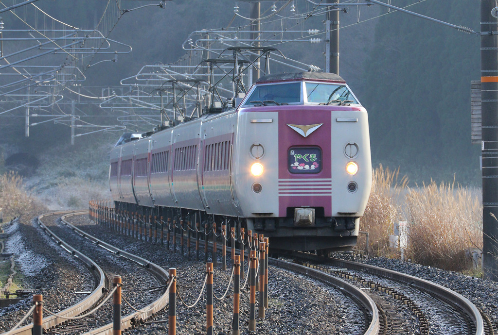 特急やくも・381系