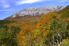 2025.11.4 大山鍵掛峠紅葉