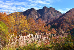 錦秋の大山