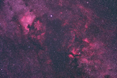 北アメリカ星雲からγ星付近