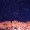 豊房の桜と沈むオリオン座